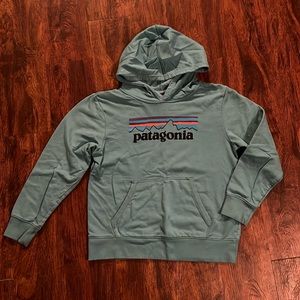 Patagonia sweatshirt